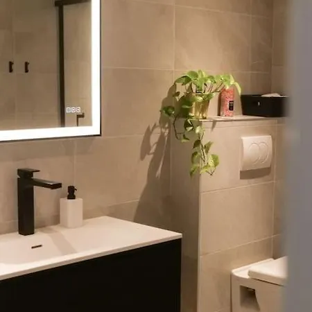 Chez Lily Hypercentre Climatise Toulouse