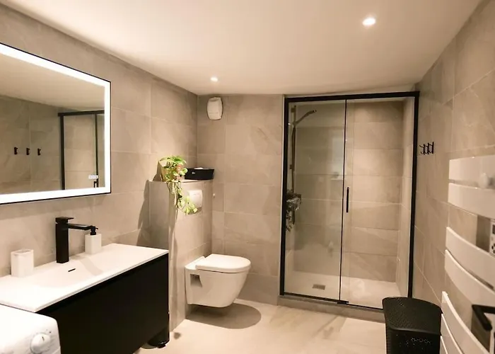 Apartman Chez Lily Hypercentre Climatise *